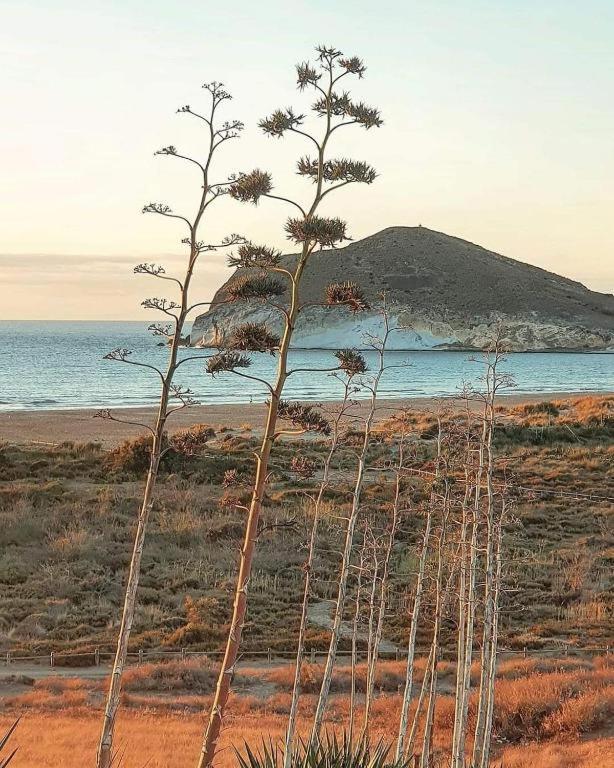 Exclusiva Casa Con Encanto En Agua Amarga أغوا امارجا المظهر الخارجي الصورة